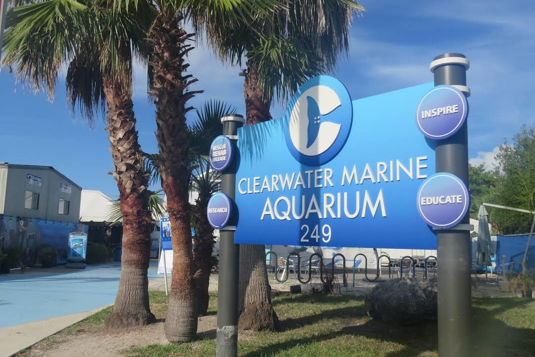Clearwater Marine Aquarium